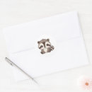 Search for cartoon raccoons stickers Cute