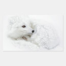 Search for arctic fox stickers Canada