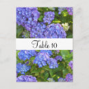Search for special event postcards Elegant