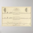Search for statistics posters White