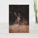 Search for red deer cards Stag