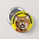 Search for surprise badges Cat