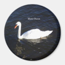 Search for mute magnets Bird