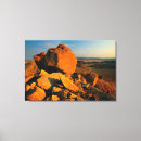 Search for barren art Colour image