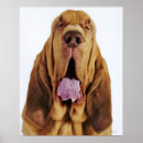 Search for closed posters Colour image