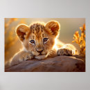 Search for wild animal posters Cute