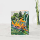Search for birds of paradise note cards Tropical