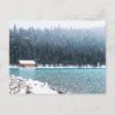 Search for winter trees postcards Scenery