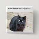 Search for kitty cat badges Kitties