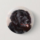 Search for painted dog badges Pet