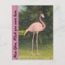 Search for flamingo postcards Tropical