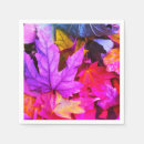 Search for autumn maple leaf Foliage