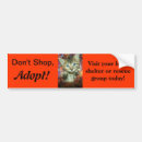Search for gray bumper stickers Kitten