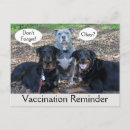 Search for doggy postcards Pet