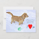 Search for love pets postcards Dog lovers