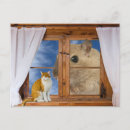 Search for tabby cat cards Ginger cats