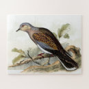 Search for pigeon puzzles Dove
