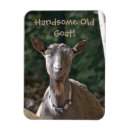 Search for handsome magnets Humour