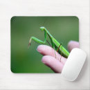 Search for mantis mousepads Macro