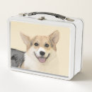 Search for corgi lunch boxes Dog