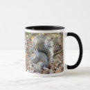 Search for gray squirrel mugs Wildlife