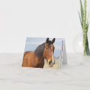 Search for equine image cards Brown