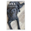 Search for labrador retriever calendars Black lab