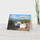 Search for boat cards Seascape