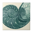 Search for seashell tiles Sea life