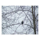 Search for monitor art Wildlife