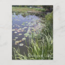Search for lily pad postcards Lake
