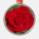 Search for red rose christmas tree decorations Nature