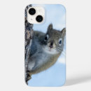 Search for squirrel iphone cases Grey