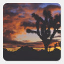 Search for joshua tree national park stickers Usa
