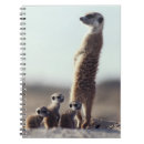 Search for animal notebooks Outdoors