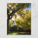 Search for campus postcards Fall