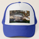 Search for seals hats Funny