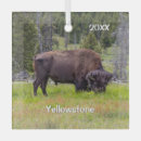 Search for bison christmas tree decorations Wildlife