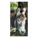 Search for donkey posters Cute