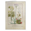 Search for medicinal plants postcards 15th
