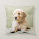 Search for for couch cushions Cute