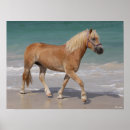 Search for haflinger art Sea