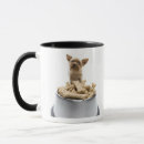 Search for studio shot mugs Abundance
