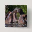Search for ralph badges Fauna