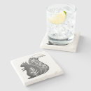 Search for squirrel coasters Woodland animals