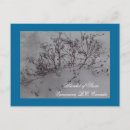 Search for british columbia postcards Snow