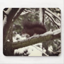 Search for squirrel photo mousepads Photography
