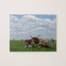 Search for longhorn puzzles Cows