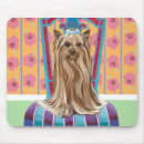 Search for princesse electronics Portrait