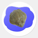 Search for bullfrog stickers Wildlife